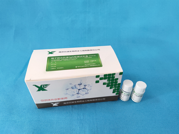 精子結合抗體IgG檢測試劑盒（MAR法）